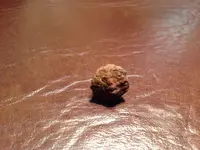 image-1044575697.webp