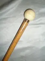 cane 2.webp