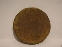 coin 3.webp