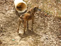 DSCN9773.webp