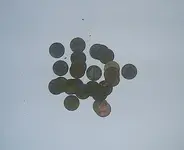 pennys.webp