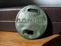 cc moss coin.webp
