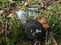 P4060366 (Small).webp