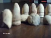 HPIM0030.webp