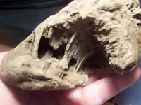cave rock.webp