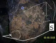 these are rocks 016 picture jpeg.webp
