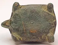 turtle_3.webp