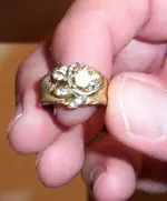 gold plated ring.webp