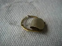 DSCN1886.webp