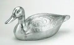 duck.webp