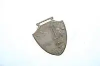 tn_Medal Pic.webp