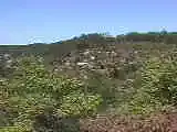 Picture 001.webp