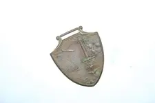 medal_pic.webp