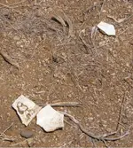 broken_pottery_near_canyon_station.webp