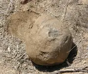 skull_rock_near_canyon_station.webp