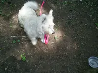 mem day 002.webp