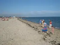 beach 1.webp