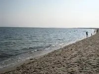 beach 2.webp