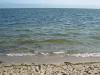 beach 3.webp