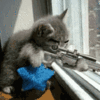 1113771197136.gif