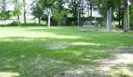 ParkPic2.webp