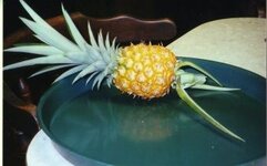 pineapple3 (2).jpg