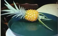 pineapple3 (2).webp