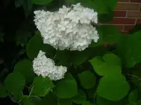f5.webp