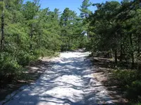 SugarSandRoad.webp