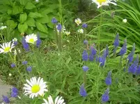 f7.webp