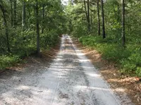 MainSandyRoad.webp