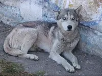 DSCF5344.webp