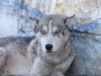 DSCF5345.webp