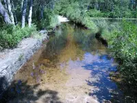 WashoutDamBreast.webp