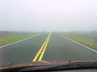 foggy.webp