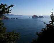 Oregon1.webp