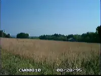 !_C_.webp