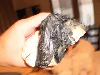 P3142305.webp