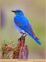 images.webp