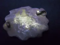 DSCN5850.webp