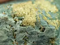 Olinghouse Gold (16).webp