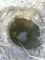 image-702861038.webp