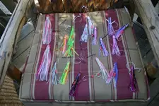 squid1.webp