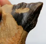 DSCF0018 artifact.webp