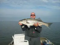 IMG_20121110_091310.webp