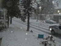 DSCF0009.webp