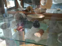 20140314_165126.webp