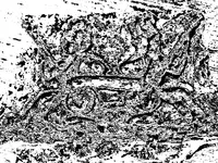 print.webp