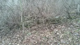 ForumRunner_20140320_204213.webp