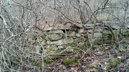 ForumRunner_20140320_204253.webp